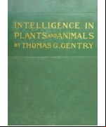 Intelligence in Plants and Animals