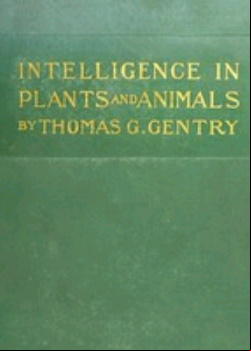 Intelligence in Plants and Animals
