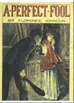 A Perfect Fool -  A Novel