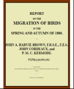 Report on the Migration of Birds in the Spring and Autumn of 1880