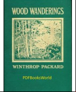 Wood Wanderings