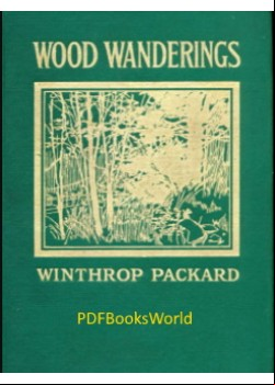 Wood Wanderings
