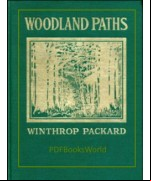 Woodland Paths