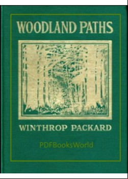 Woodland Paths