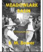 Meadowlark Basin