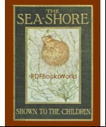 The Sea-Shore, Shown to the Children