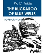 The Buckaroo of Blue Wells