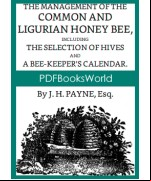 Bee-keeping for the Many
