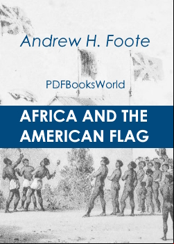 Africa and the American Flag