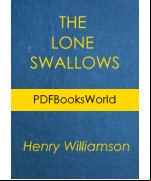 The Lone Swallows