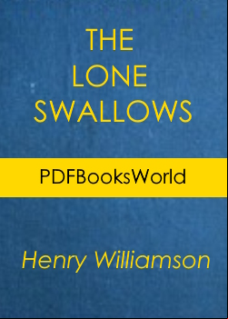 The Lone Swallows