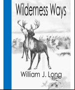 Wilderness Ways