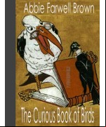 The Curious Book of Birds