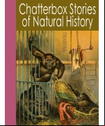 Chatterbox Stories of Natural History